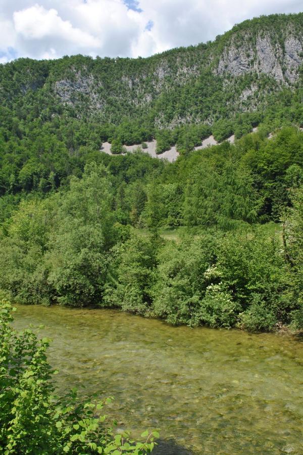 Riverside Village Apartment Bohinj Bagian luar foto