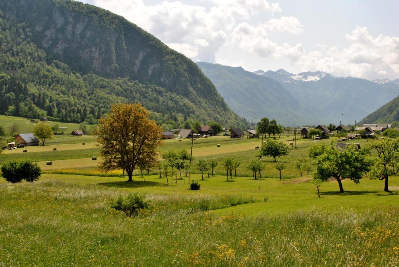 Riverside Village Apartment Bohinj Bagian luar foto