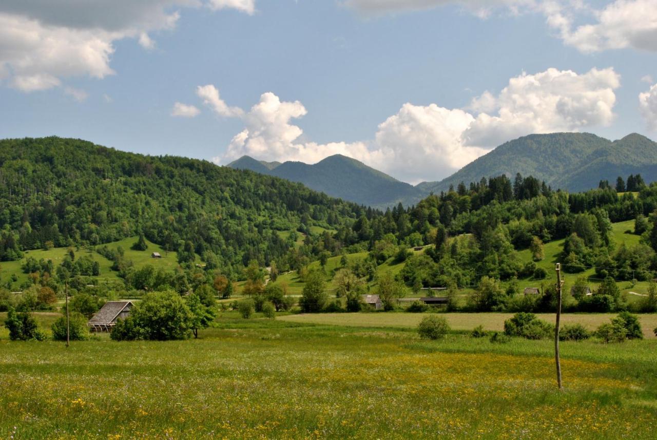 Riverside Village Apartment Bohinj Bagian luar foto